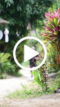 BIB:  <button type="button" onclick="openModal(26969278)" class="btn btn-primary btn-sm float-right" data-toggle="modal" data-target=".modal-high-quality">
                <i class="fa fa-download"></i> Download
                </button>